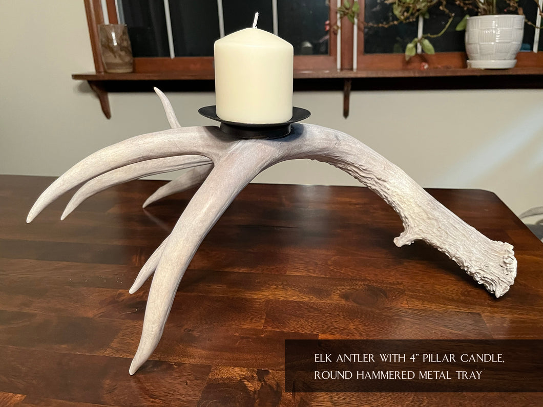 Single Elk Antler Candelabra - naturally shed Colorado elk, tea light table minimalist rustic decor